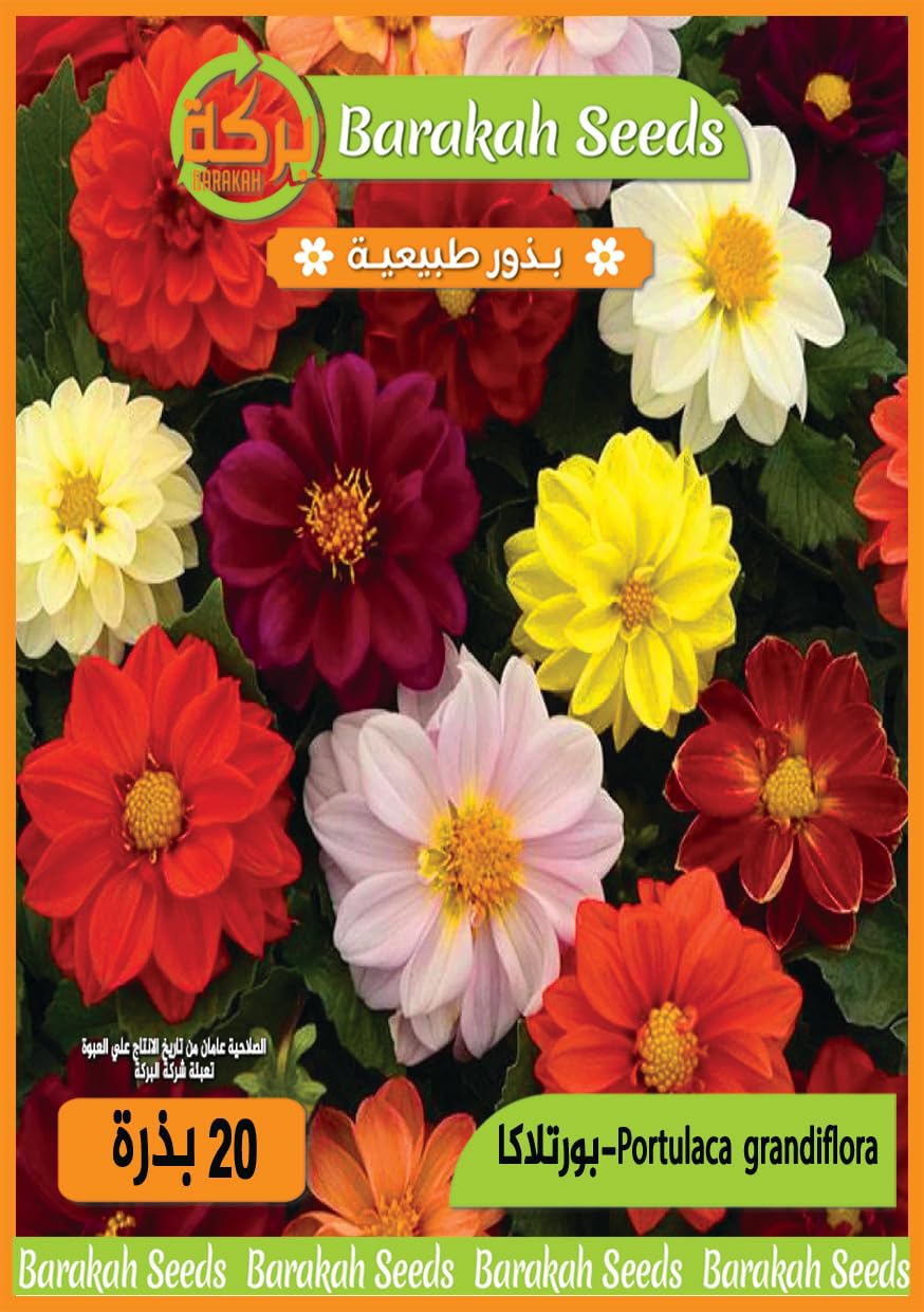 High Germination Seeds for Flower (Portlaca, 15)