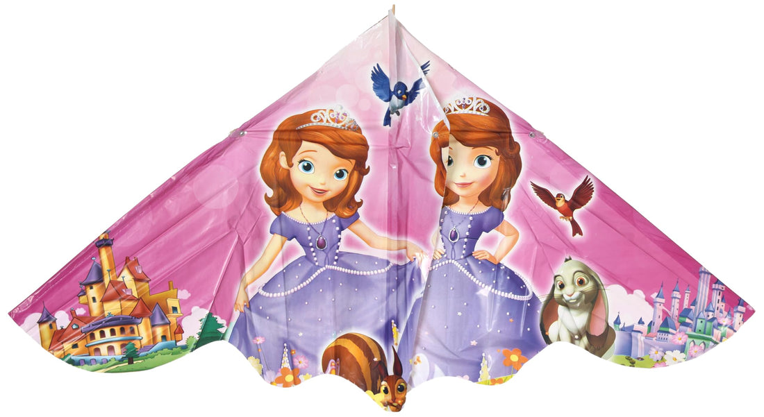 City Star Summer Disney Sea Plane Toy with Plastic Rope, Large, Pink