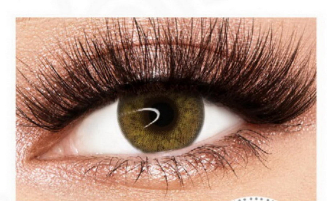 Fresh Lady (Russian Brown)
