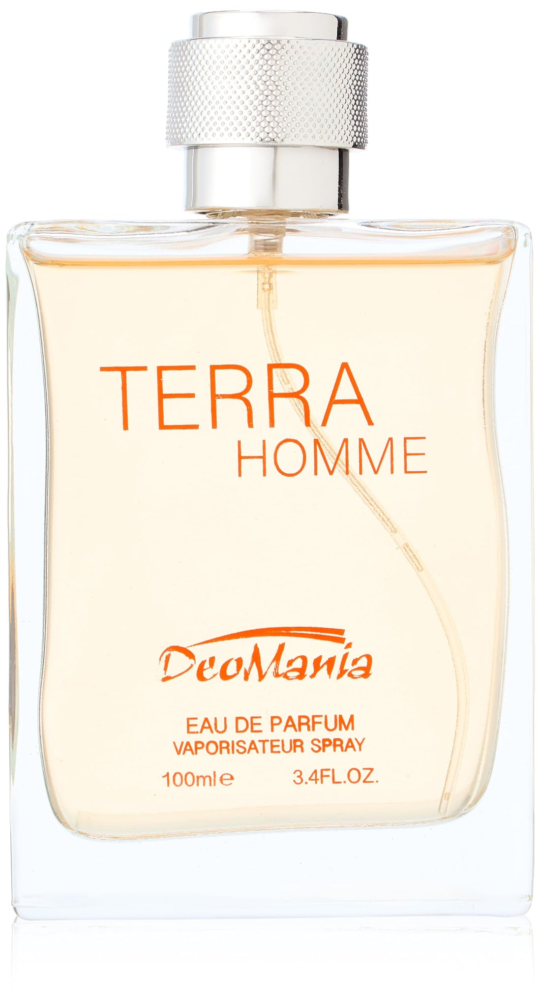 Terra Homme Eau De Parfum for Men 100 ml