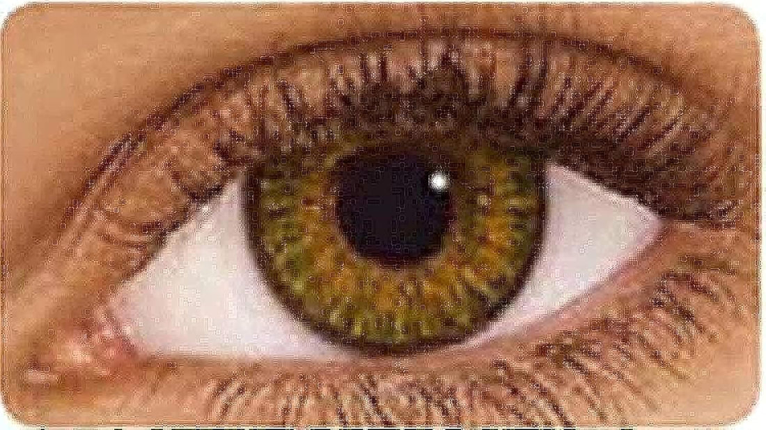Freshlook Freshlook Blends Cosmetic Contact Lenses - Pure Hazel