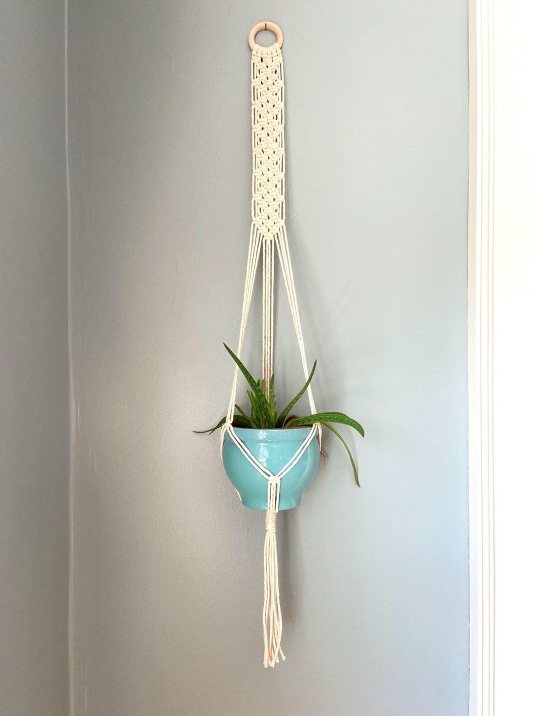MacrameStore - Plant Hanger - عليقة زرع