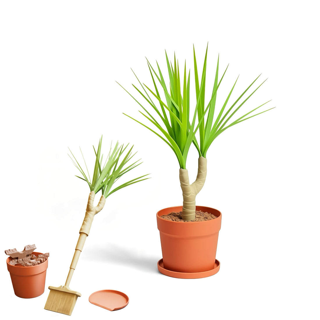 4-in-1 Dragon Tree Cleaning Kit - Extendable Dusting Brush, Hidden Dustpan & Dustbin | Decorative Houseplant Duster Set