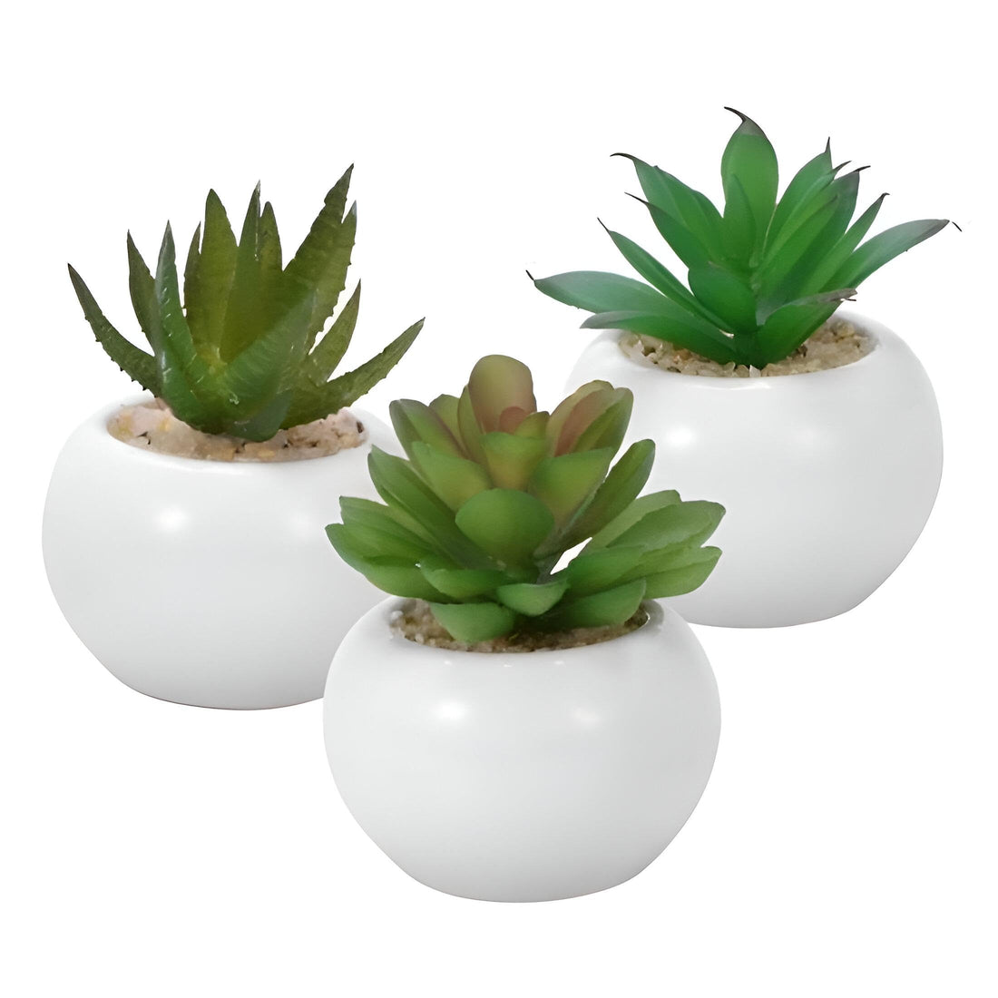 Artificial Plant Vase - Brighten up your interior decor with this elegant small cactus design, suitable for desks, shelves, or tabletops to infuse freshness and a modern vibe (2)