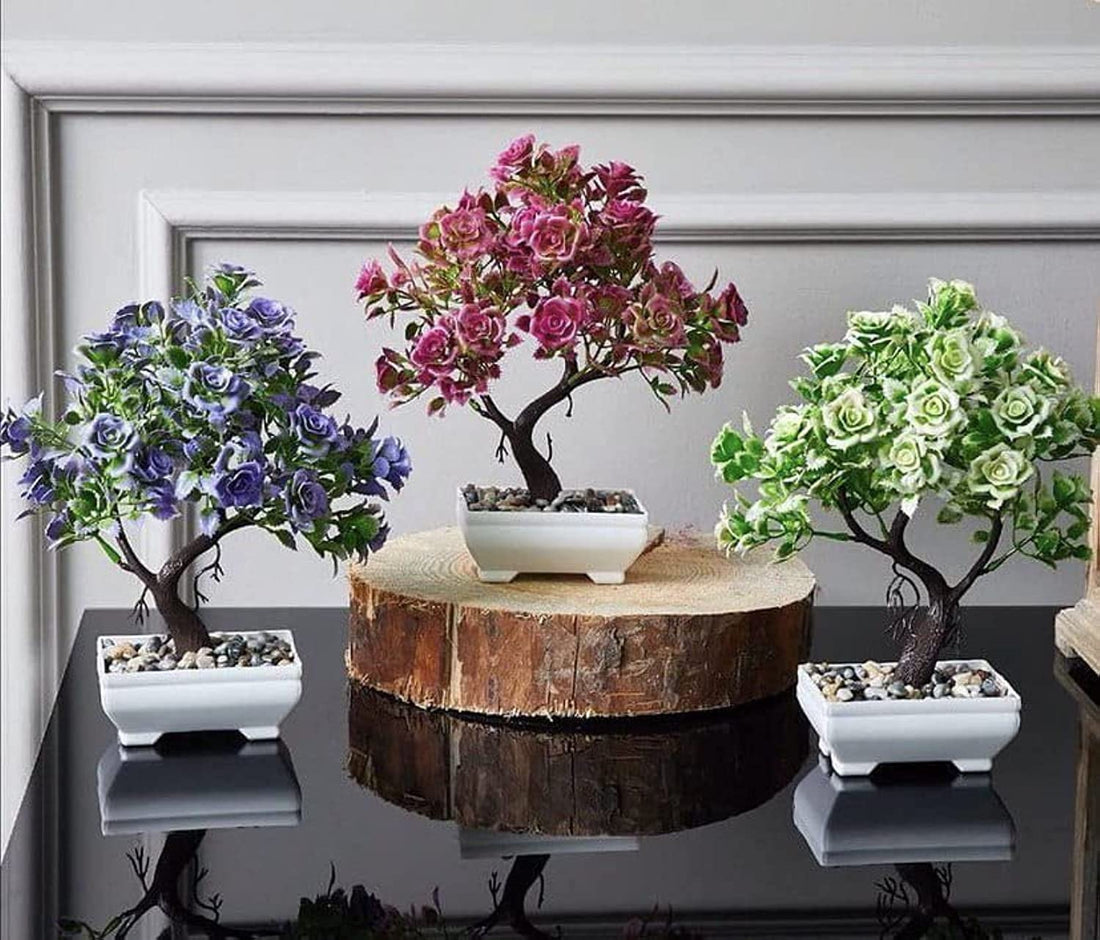 Plant Home Or Office Decor 3 Piece Set - set 3 pieces Planting decor for home, office or garden