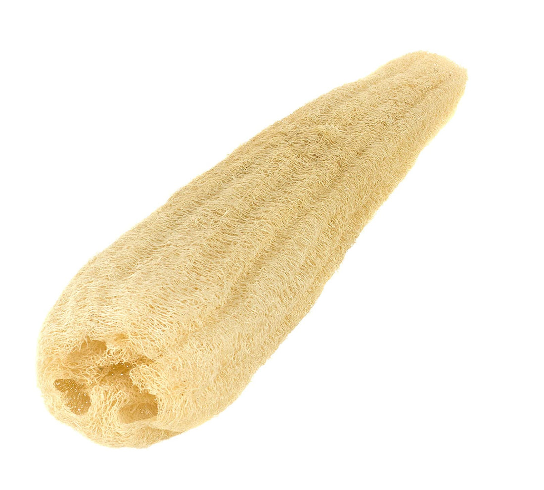 100% Natural Egyptian Loofah Organic, Chemical-Free Pads, Eco-Friendly Exfoliating for Bath Spa, Massage and Shower, Ideal for Men, Women & Kids (Wet Long)