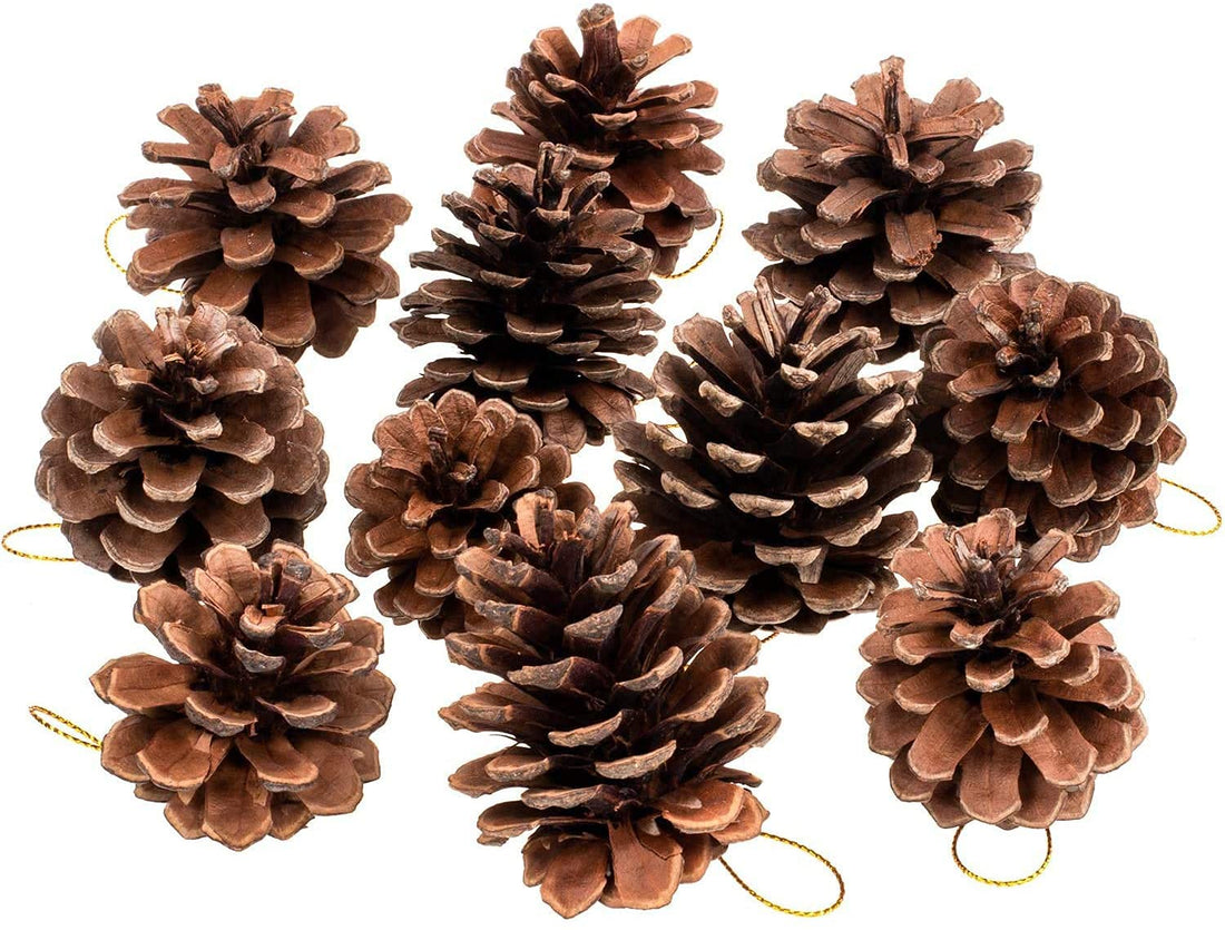 HEALLILY Christmas Natural Pine Cones Bulk Garland Ornaments Pendant for Xmas Tree DIY Craft Fall Thanksgiving Hanging Decoration