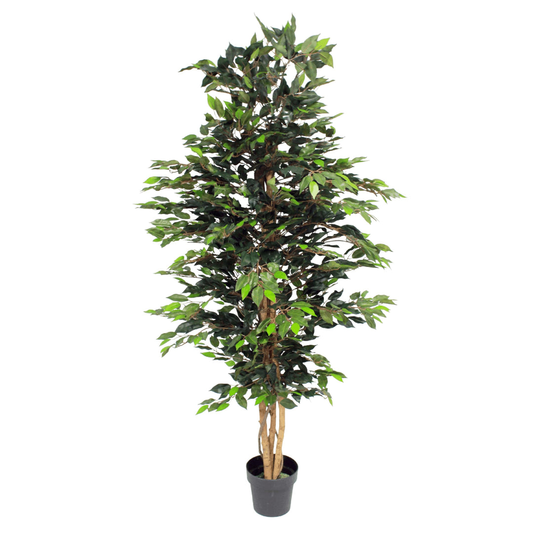 Blooming Artificial - Ficus Tree Artificial Plant, Large Fake Plant in Pot for House and Indoors, Year Round Decorative Realistic Faux Foliage (Green) (180cm/ 6ft)