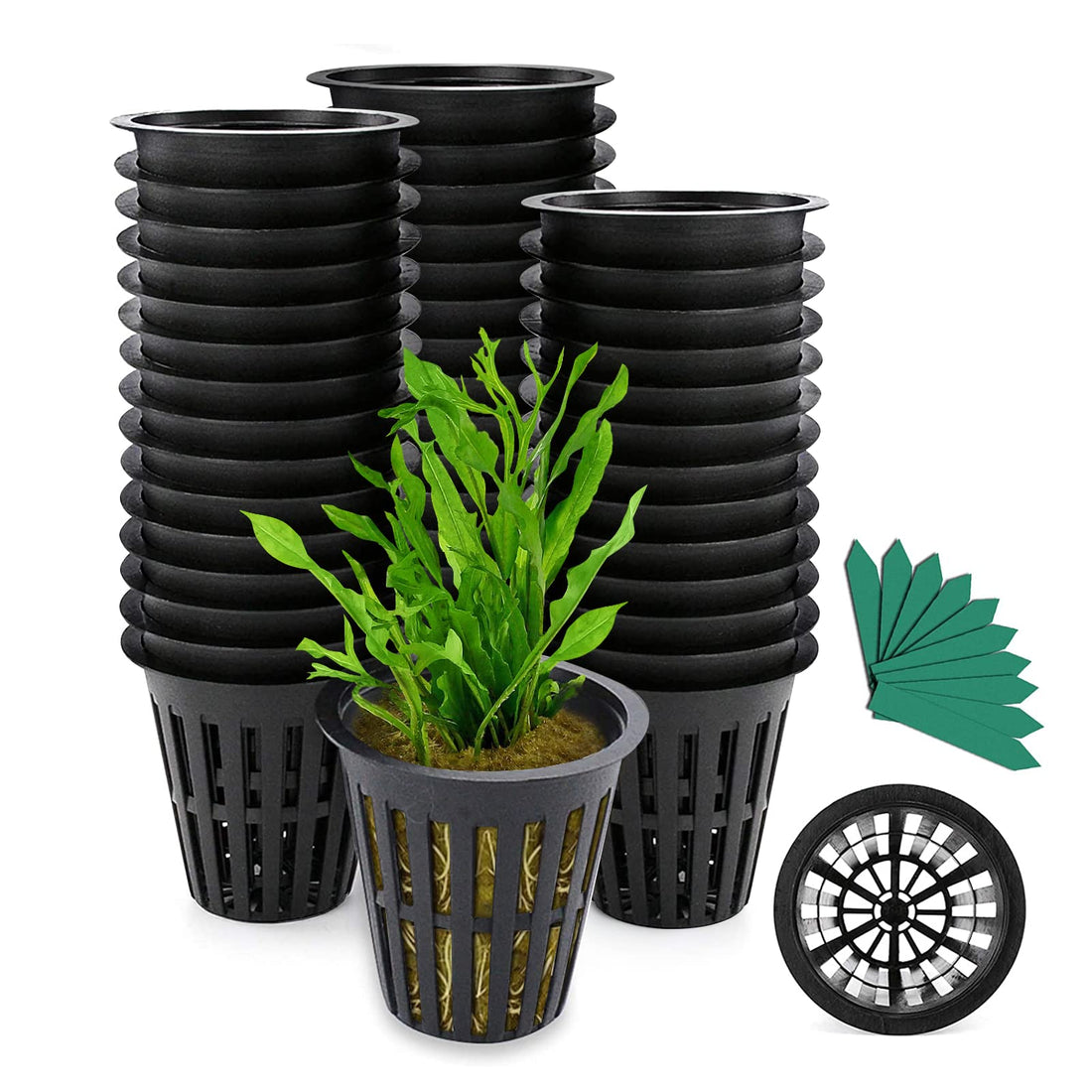 GROWNEER Net Cup Pots, 50 Pcs 2 Inch Garden Slotted Mesh Net Cups, Heavy Duty Cups Mesh Pots with 50Pcs Plant Labels, Hydroponic Planting Pots Grow Basket for Indoor Outdoor