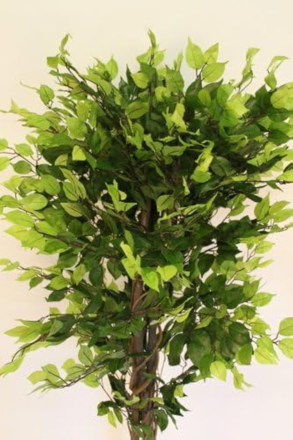 Garden Market Place Artificial Plants - 1.6M Tall Artificial Ficus Benjamina With Pot -Artificial Fig Plant