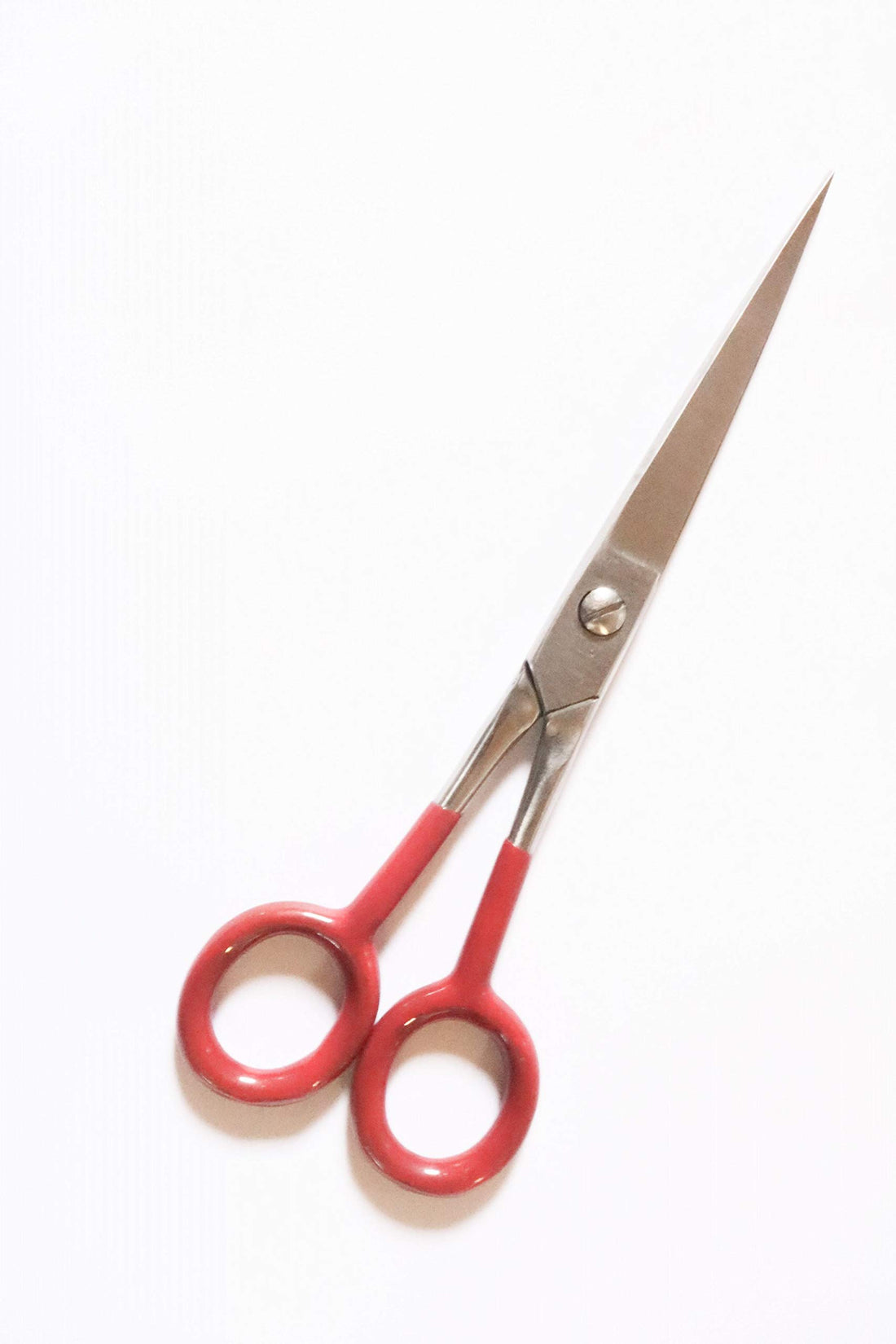 Professional Hairdressing Scissors