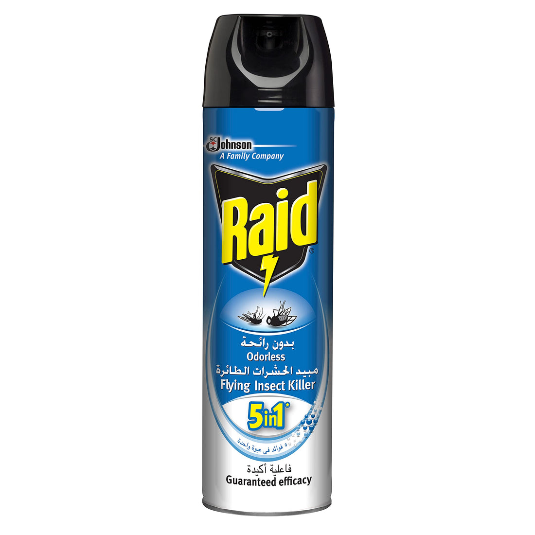 Raid
