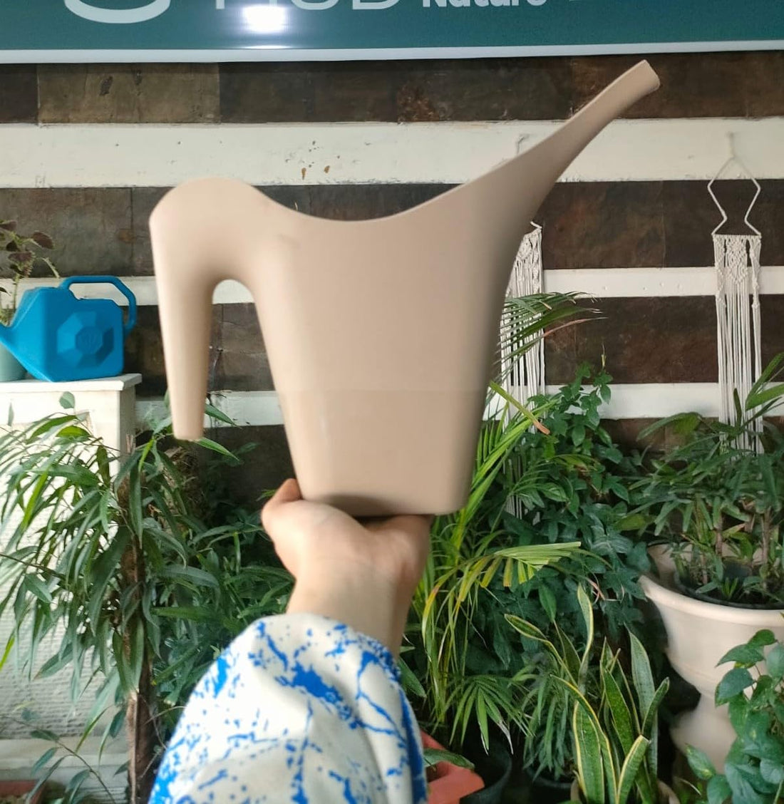 Garden Mama Plastic Watering Pot, 2 Liter, Long and Fine Spout, for Indoor and Outdoor Plants