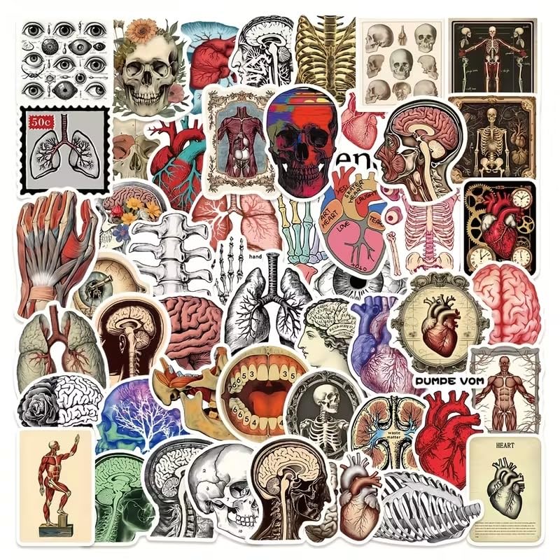 50pcs - Scientific Anatomy Stickers - Medical Art Human Body Organs Skeleton Labels - Notepads Mugs Laptops Educational - 50pcs - ANAT