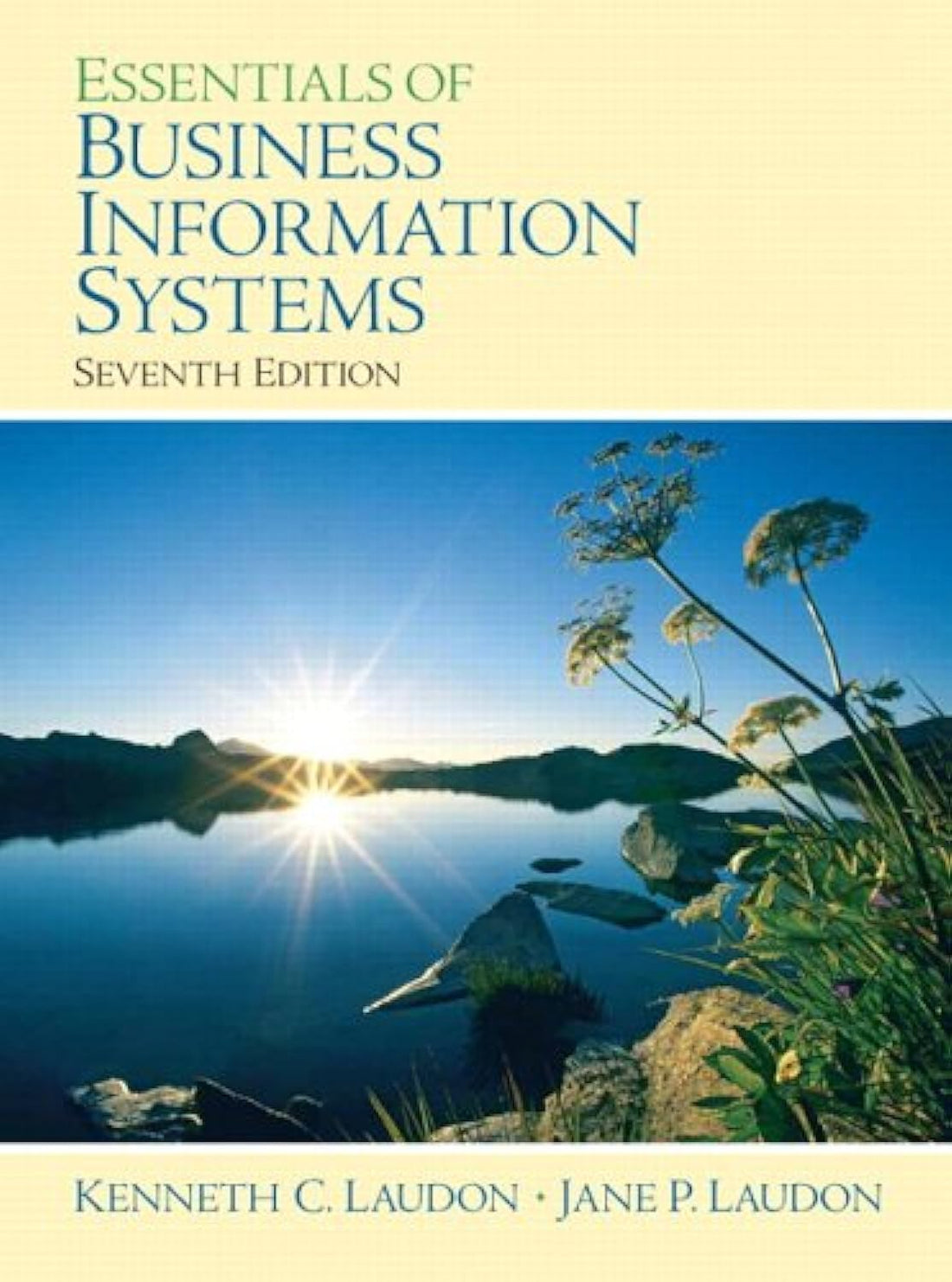 Essentials of Business Information Systems: United States Edition