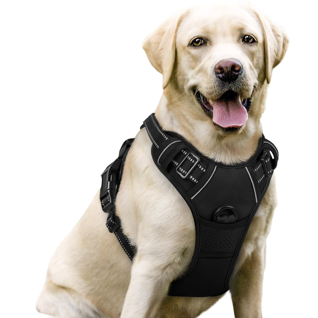 Rabbitgoo No-Pull Dog Harness Padded Adjustable Pet Vest Harness with Handle Front Clip Harness Perfect Fit for Large Dogs Training or Walking, Durable and No Choking-Black