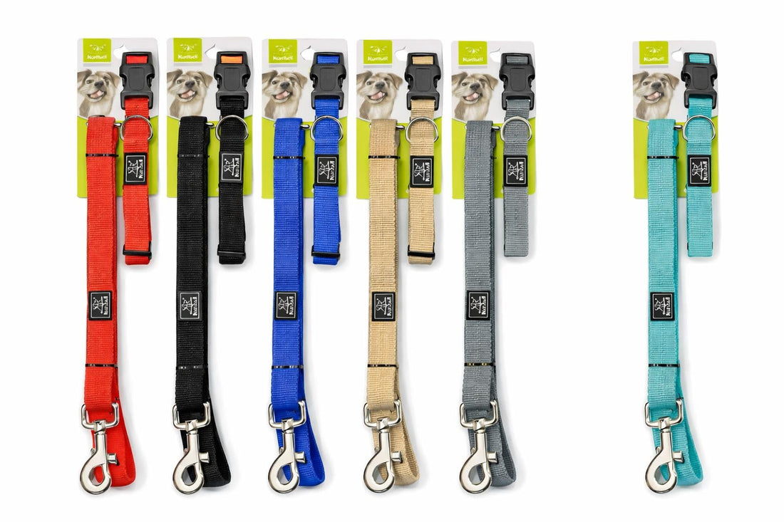 Nunbell XL Dog Leash and Collar Set, 120 cm Length, 2.5 cm Width,15-30KG, Available in Multiple Colors (Beige)