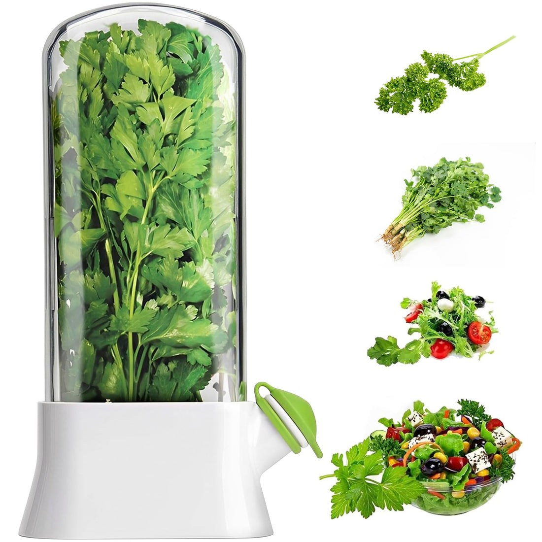 Herb Saver for Refrigerator, Fresh Herb Keeper-Herb Cilantro Containers, Herb Fresh Keeper for Refrigerator, Herb Storage for Cilantro,Parsley, Asparagus, Keeps Vegetables Fresh Container Sets (1PCS)