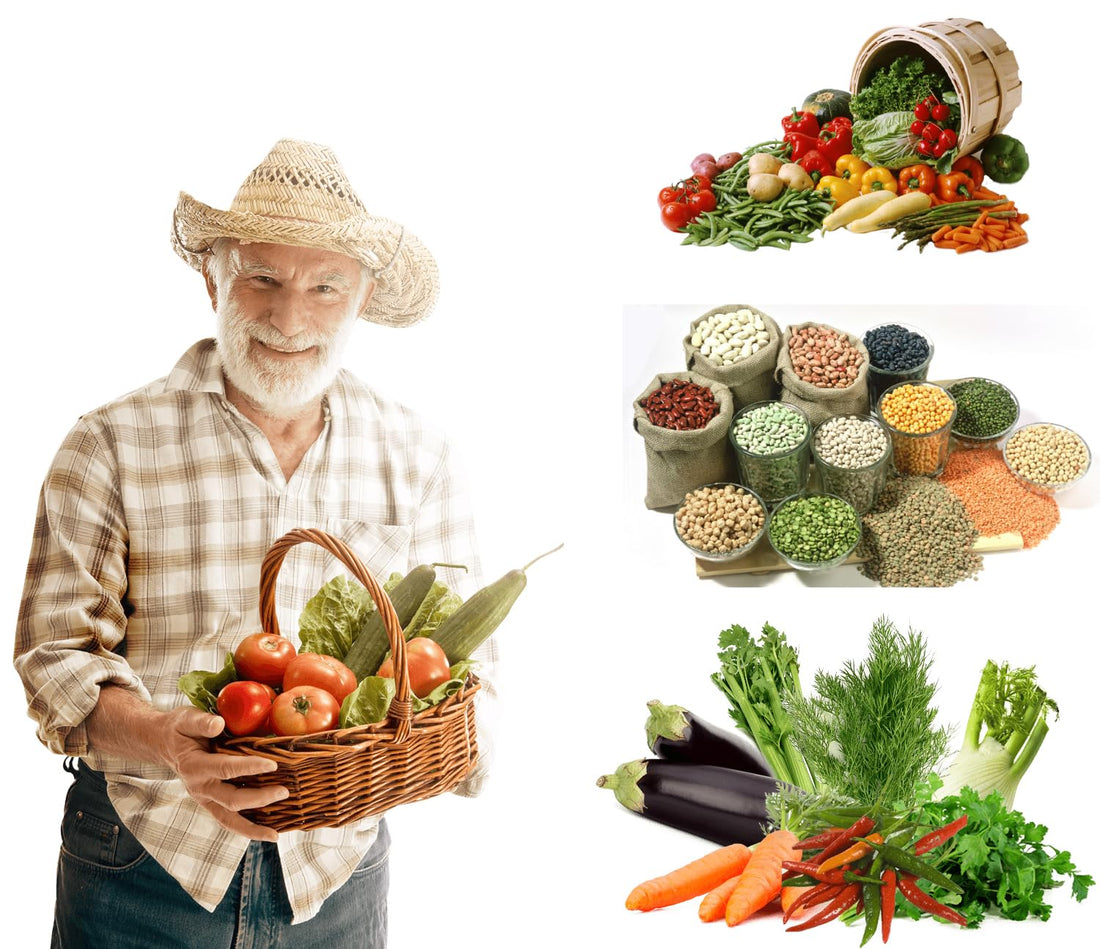 Menoufia Nurseries 5 Varieties Fast Germination Vegetable Seeds for Home Planting Surface Garden Lettuce Parsley Spinach Mallow Balls
