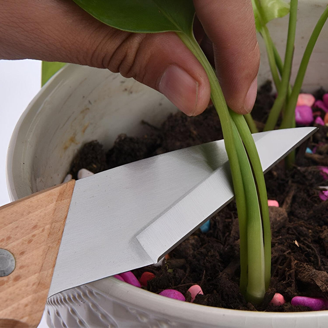 Pruning Knife - Ergonomic Garden Grafting Tool Suitable for Tight Space Cuts, Featuring Sharp Edge, Durable Build, and Ease of Use for Gardeners and Horticulturists Focused on Plant Care and Propagati