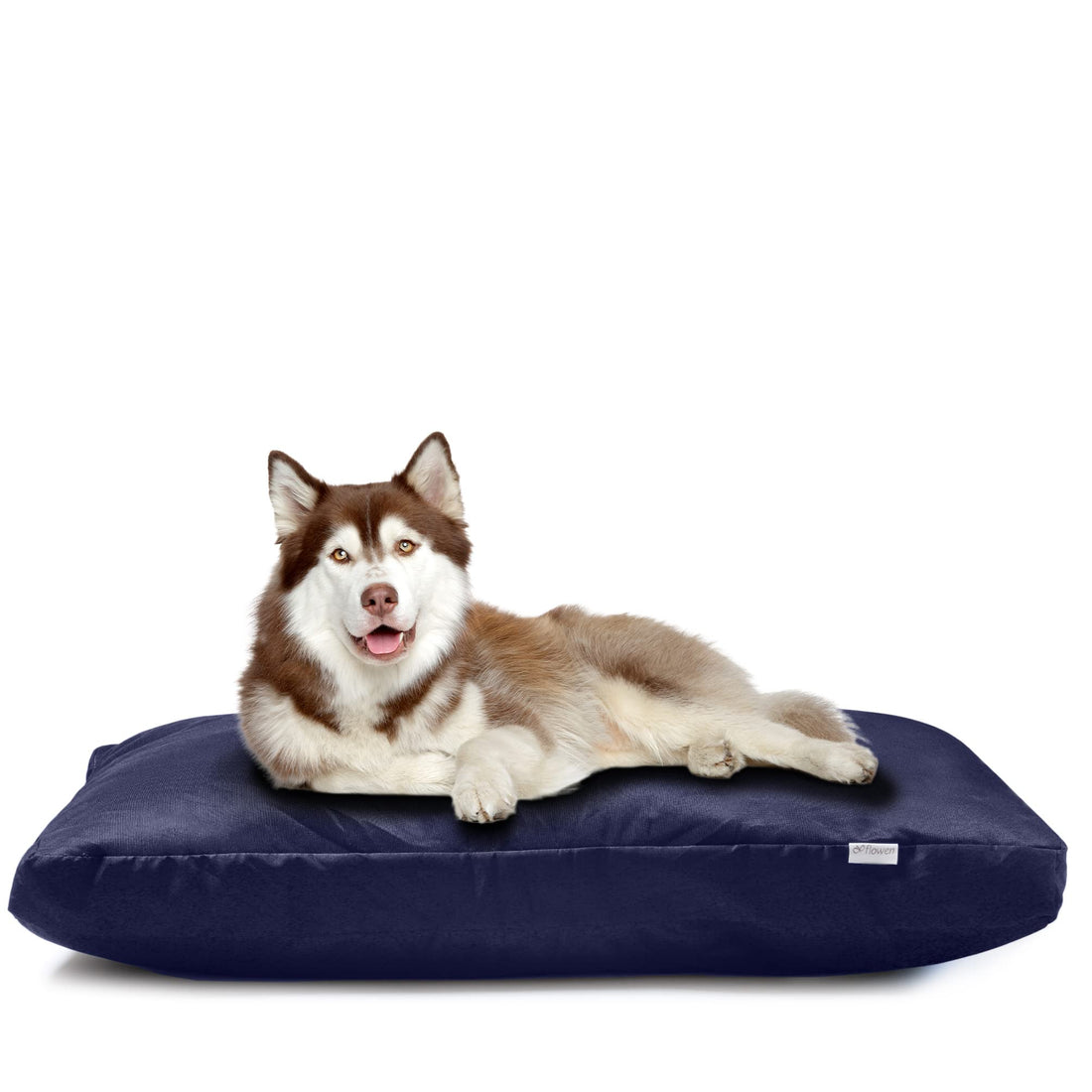Flowen Dog Cushion Large Dogs 90 x 70 cm Easy Washable with Removable Cover Dog Bed Waterproof Anti-Bite and Anti-Scratch Dog Mat Blue in 10 cm Height Ideal in Summer and Winter