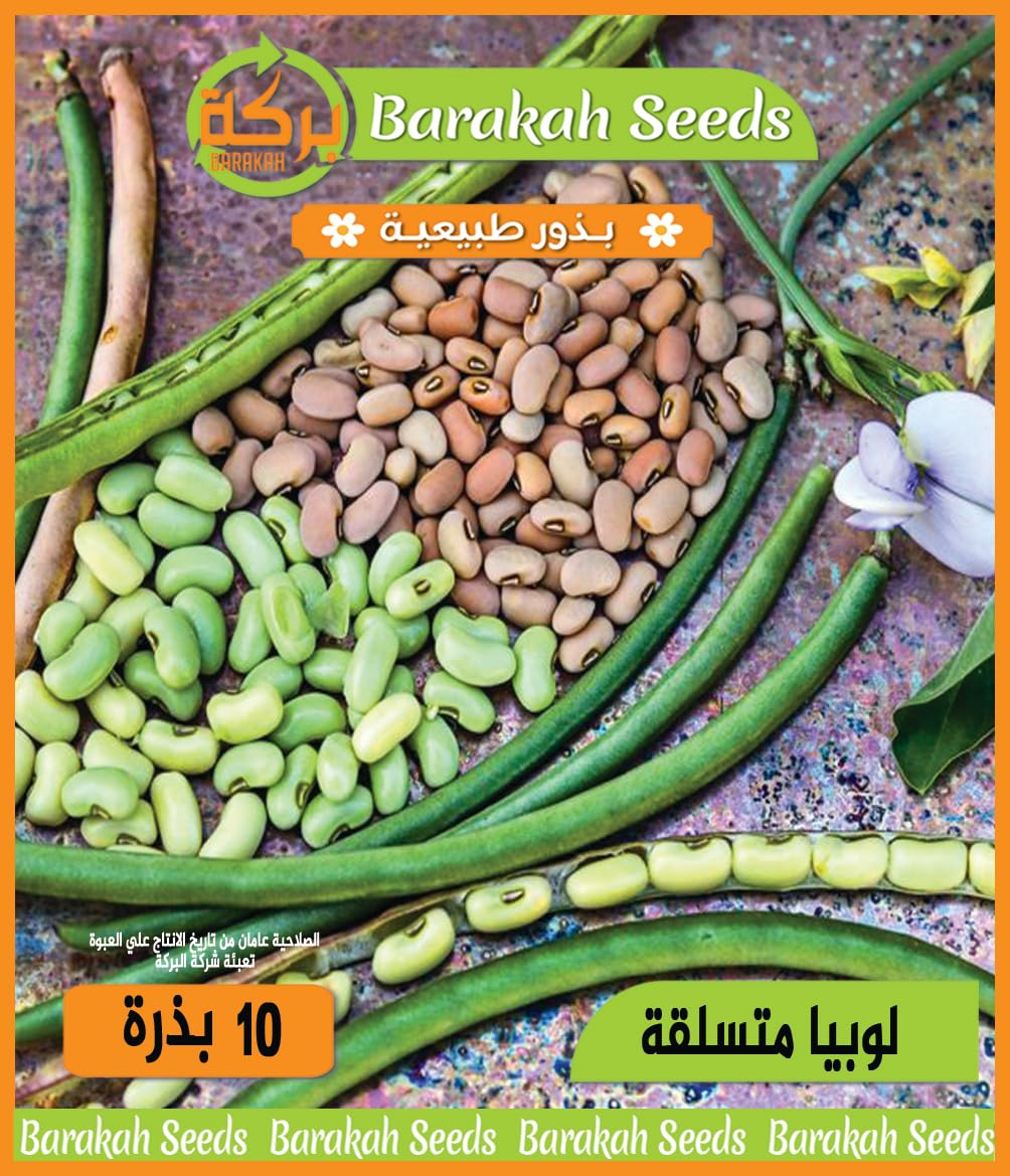High Germination Vegetable Seeds for Plant (Climbing Cowpea, Organic, 1)