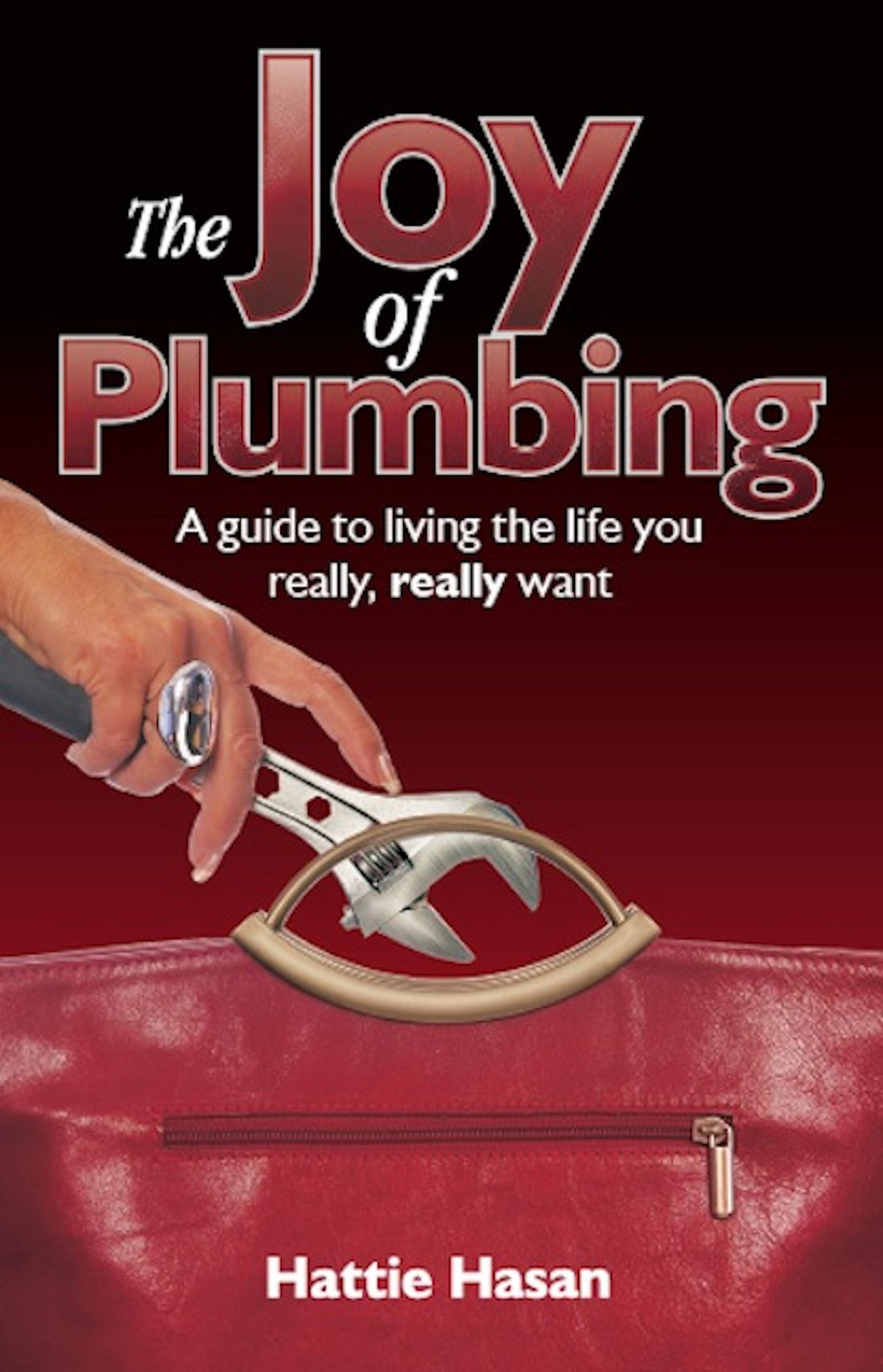 Ecademy Press The Joy of Plumbing: A Guide to Living the Life You Really, Really Want