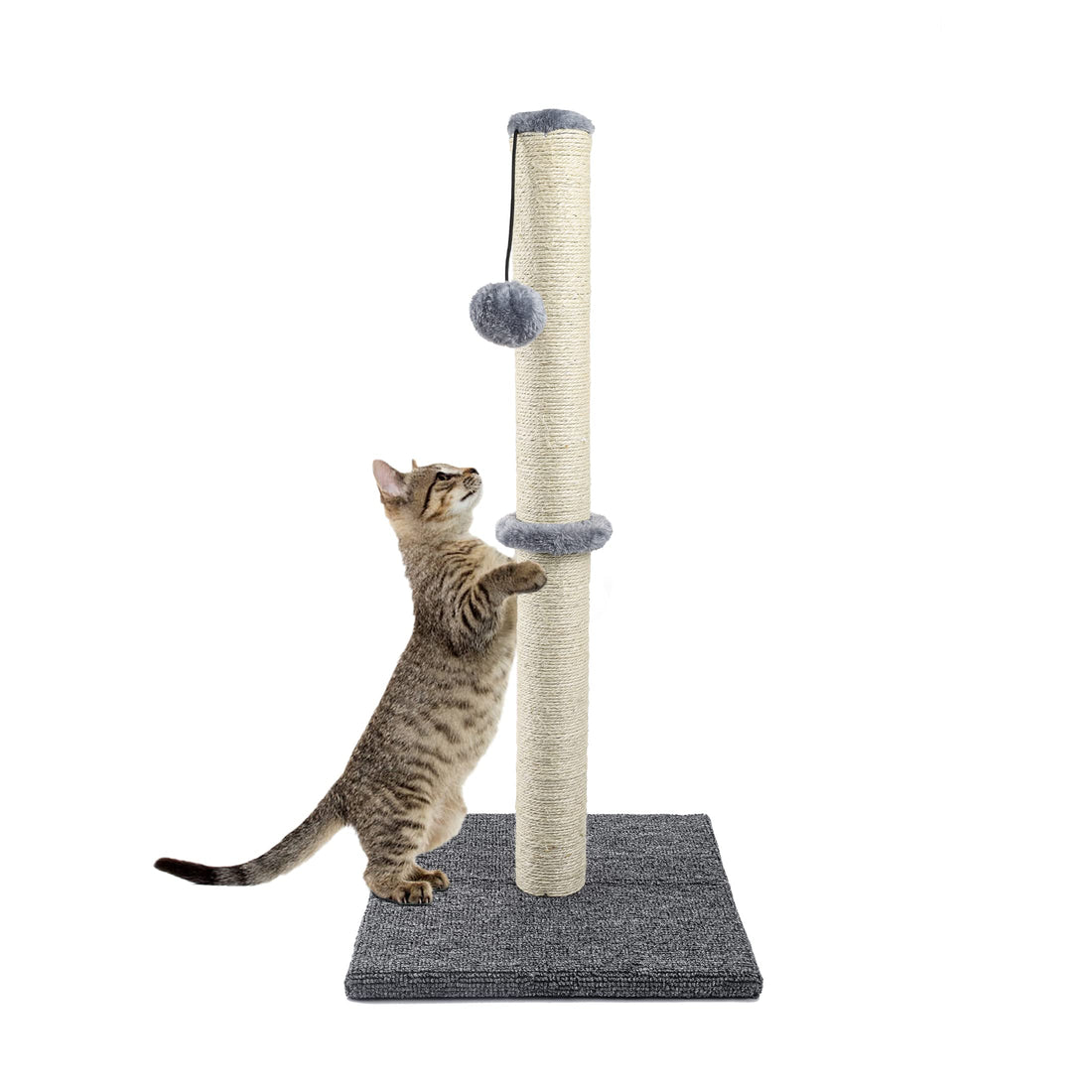 Cat Scratching Post 29 Inches Scratching Post for Indoor Cats with Hanging Ball, A Must-Have for Happy and Healthy Cats