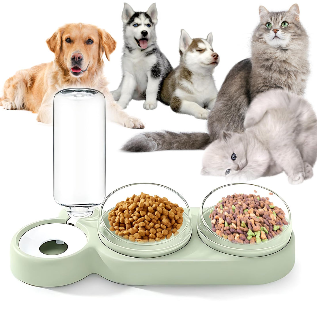 Double Cat Bowl 3 in 1, 15° Inclined Cat Bowls, Raised Cat Bowl, with Automatic Water Dispenser, for Cats and Small Dogs