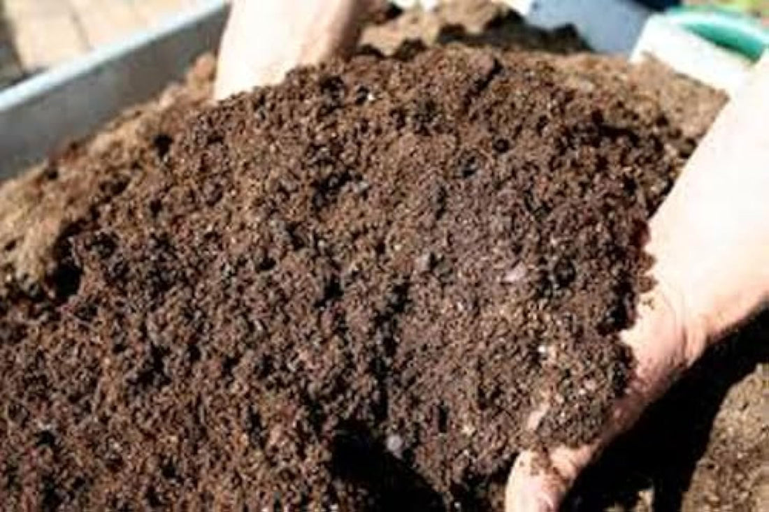 10 Kilo Best Compost Plant Plant Fertilizer for Plant Nutrition