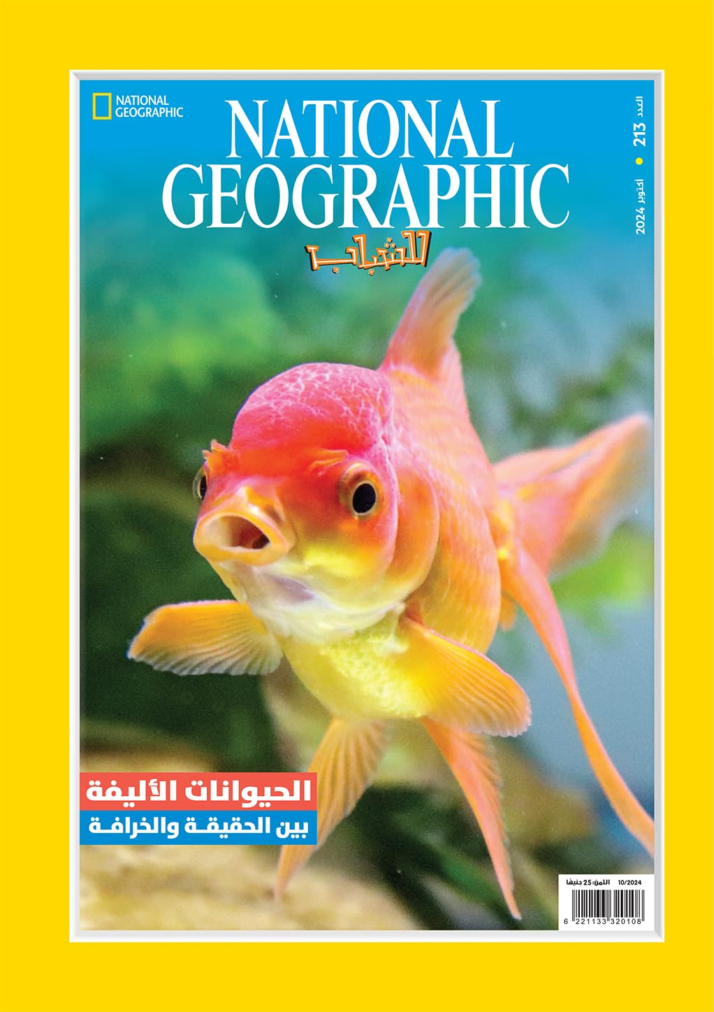 مجلة ناشيونال جيوجرافيك للشباب - National Geographic magazine العدد213