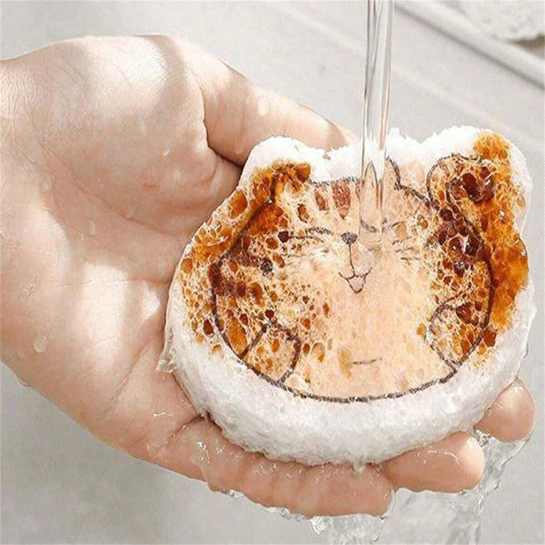 Magic Cellulose Pop Up Sponge for Pots and Body