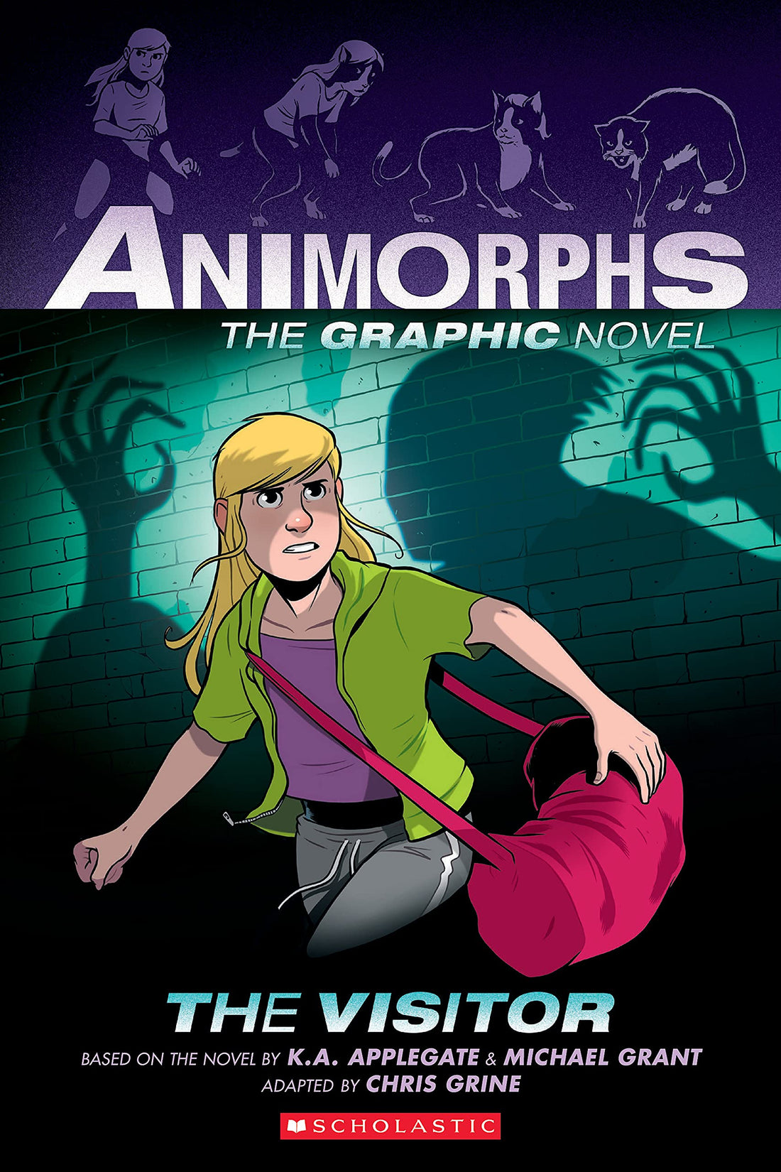 The Visitor: A Graphic Novel (Animorphs #2) (Volume 2)