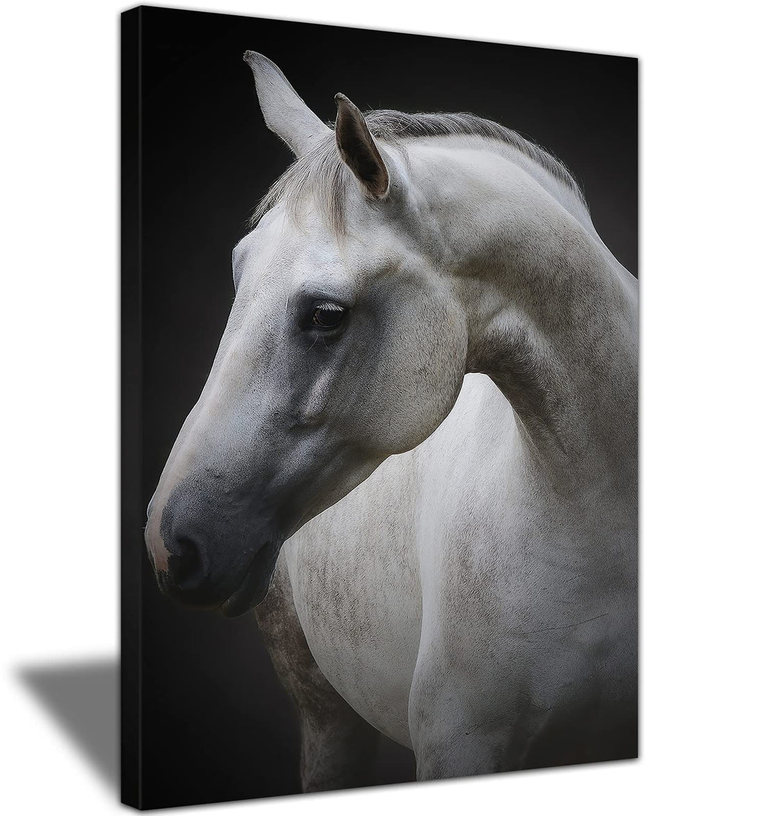 White Horse Canvas Wall Art Animal Canvas Horse Portrait Print Framed for Home Office Kids Room Farmhouse Decoready to Hang