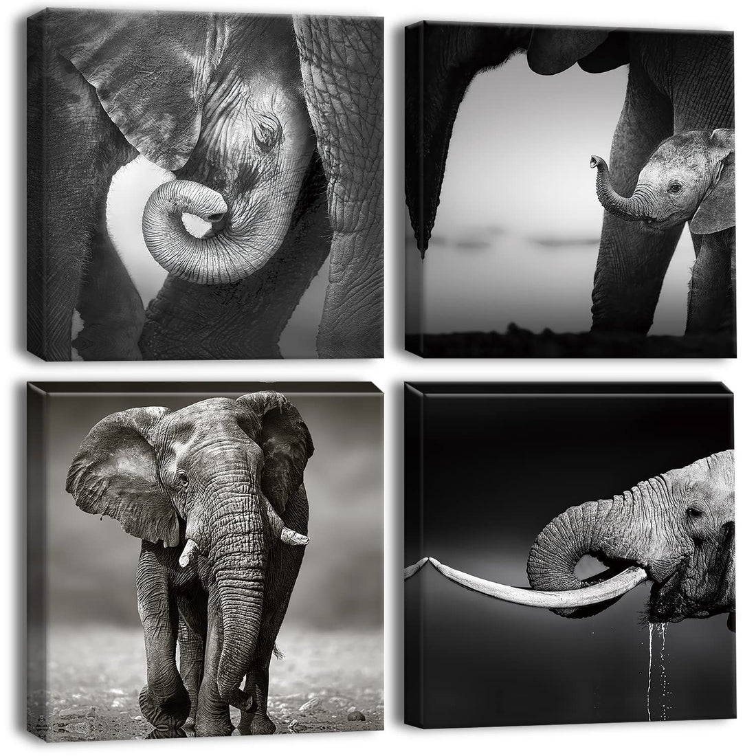 Artscope 4 Pieces Wall Art Canvas Prints - Grey-Elephant Family - Picture Painting - Modern Wall Artwork Framed for Gifts Bathroom Home Kitchen Office Decor - 30 x 30 CM