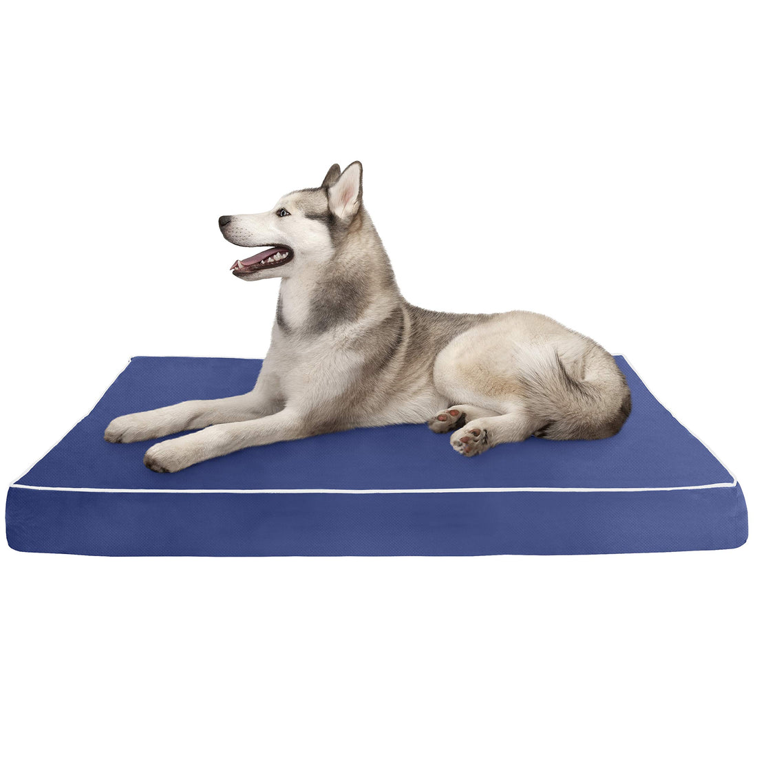 Moro Pet Dog Bed | Deluxe Indoor/Outdoor Mattress Pet Bed For Dogs & Cats, Blue W/Tan Trim, Jumbo