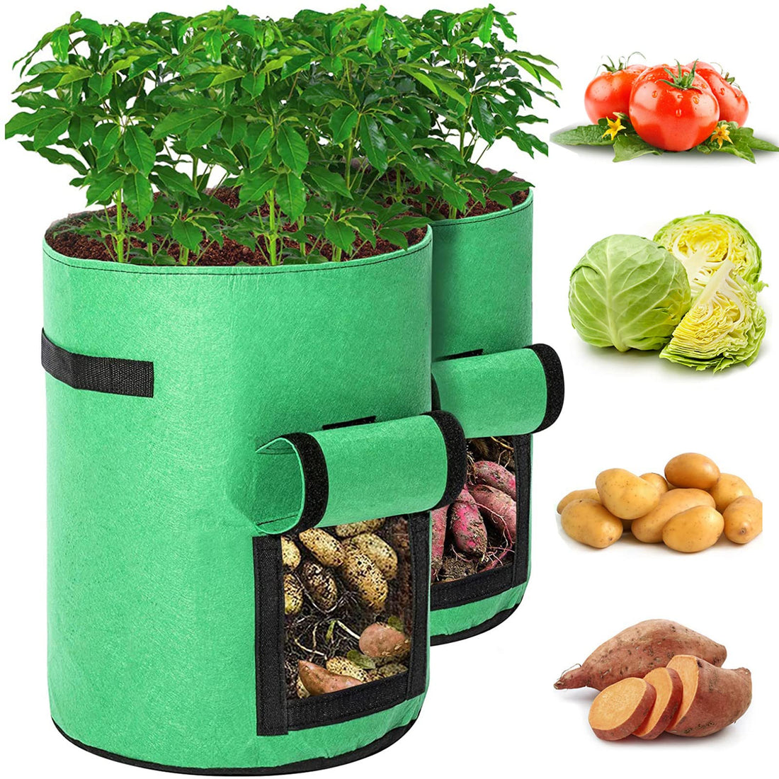 TENOVER Potato Grow Bags , 2 Pack 10 Gallon Potato Growing Bags Potato Planting Bag Potato Planter with Flap and Handles for Potato, Tomato, Carrot (Green)