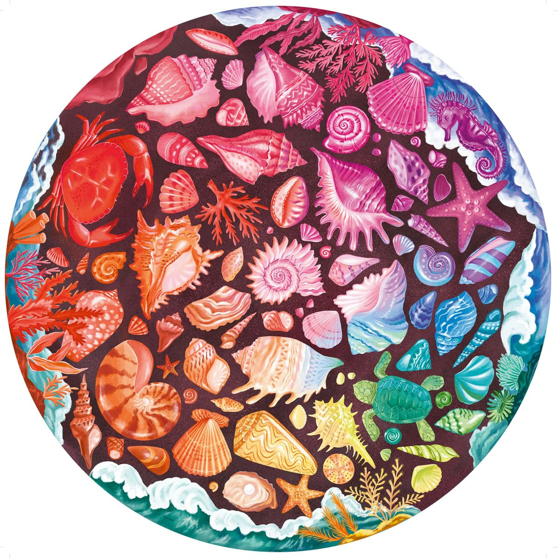 Erwachsenenpuzzle 500 Teile - Muscheln