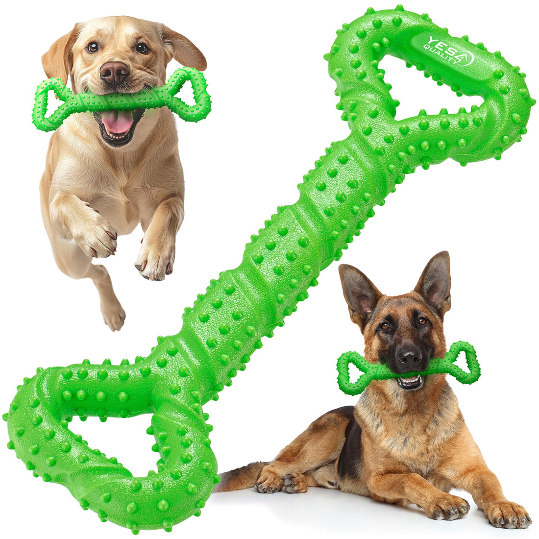 YES4QUALITY - Dog Chew Toy - 13", Green - Tough Rubber Bone Toy for Aggressive Chewers w/Bumpy Design for Puppy Teething - Mentally Stimulating Pet Enrichment Toy to Keep Dogs Busy