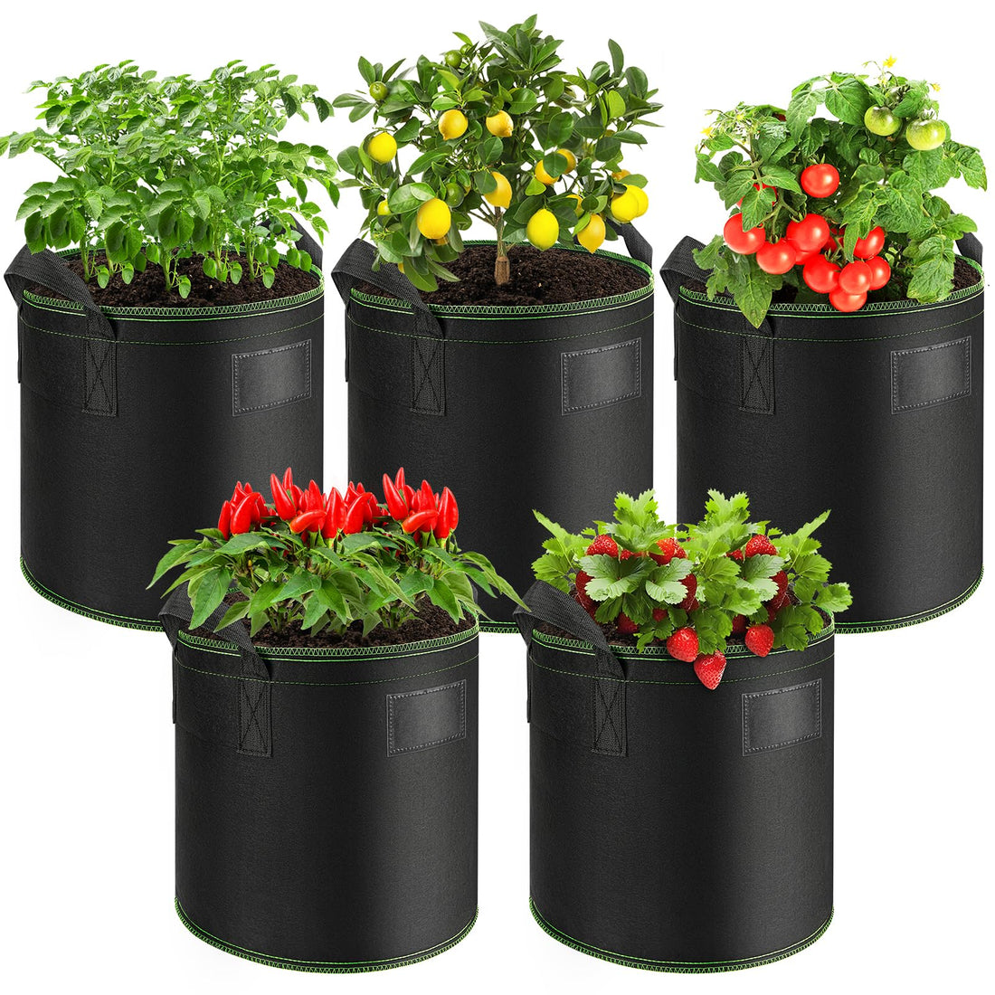 Plant Bag 20 L (Pack of 5) Made of Breathable Non-Woven Fabric - Reusable Plant Bags with Handles for Tomatoes, Potatoes & Strawberries - Garden, Balcony, Greenhouse - Plant Bag, Grow Bag