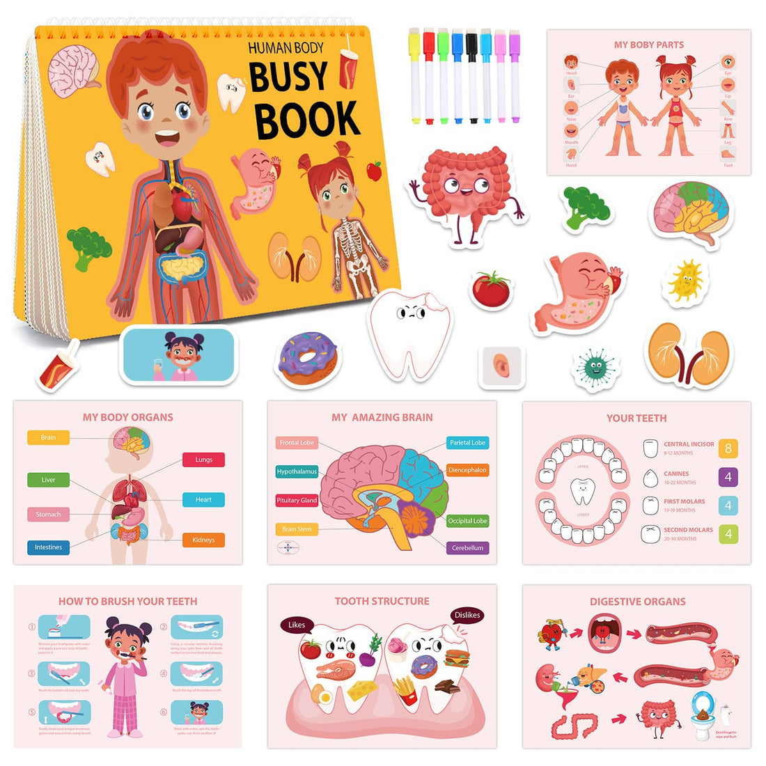 Montessori Activity Book for Toddlers with Pre-Assembled Stickers, Educational Learning Toys for 4-6 Year Old Boys Girls, Reusable Travel Toys for Home School Birthday Gifts (Science)