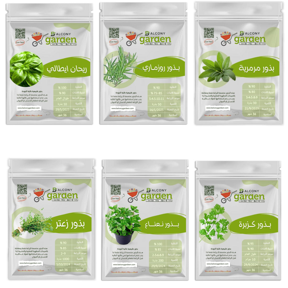 Essential Herb Seeds Set, Italian Basil, Rosemary, Sage, Peppermint, Thyme, Coriander, Premium Quality Seeds for Home Farming