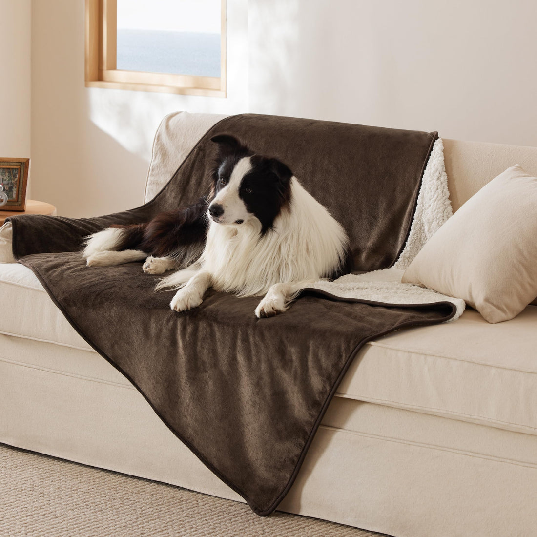 Bedsure Waterproof Dog Blankets for Small Medium Large Dogs - Washable Cat Blanket for Couch, Car, Sofa Chair, Bed - Sherpa Fleece Dog Blanket, Soft Plush Reversible Throw Furniture Protector