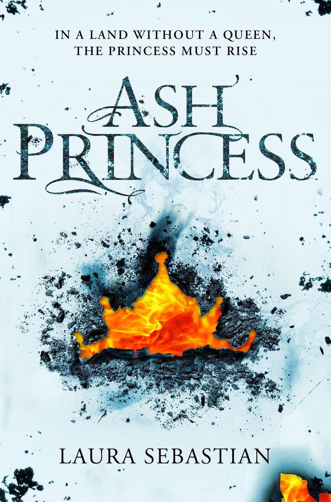 Macmillan Children's Books Ash Princess