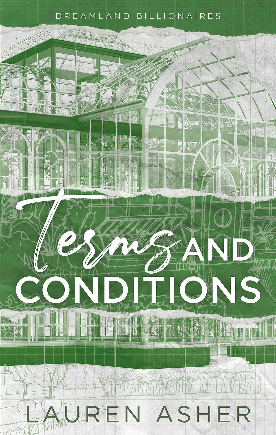 Terms and Conditions: the fake-dating TikTok sensation! Meet the Dreamland Billionaires...: 2
