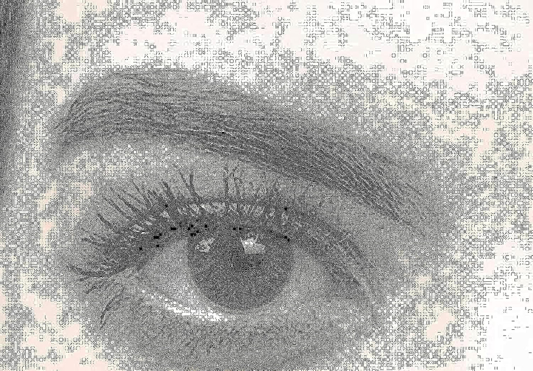 Cosmetic Three Month Disposable Contact Lenses,Green
