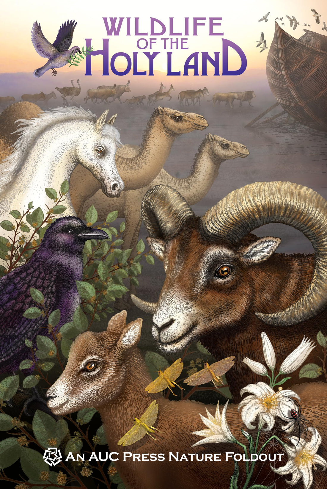 Wildlife of the Holy Land: An Auc Press Nature Foldout