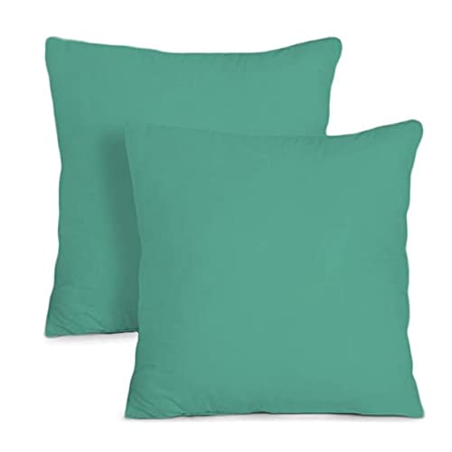 Tigers Trade Lines Cotton Pillow Set (2 Pieces)