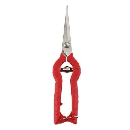Professional Grape Pruning Shears, Stainless Steel Blades, Red Handle