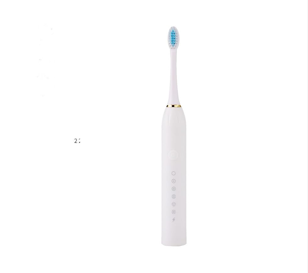 Electric Toothbrush with Sonic Technology, 6 Modes, 4 Brush Heads, Intelligent Timing, USB Charging - White